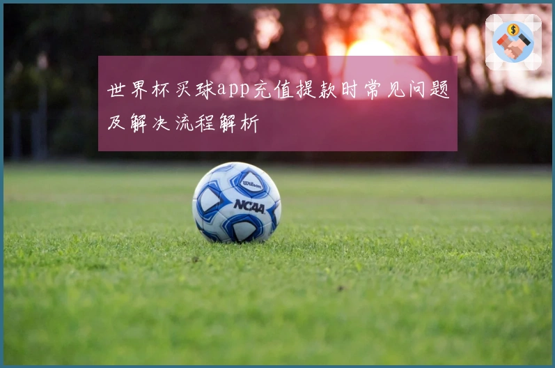世界杯买球app充值提款时常见问题及解决流程解析