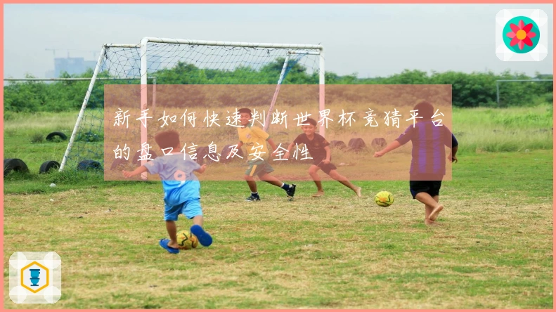 新手如何快速判断世界杯竞猜平台的盘口信息及安全性