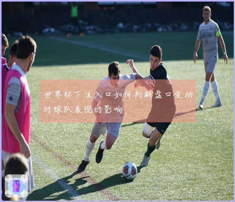 世界杯下注入口如何判断盘口变动对球队表现的影响