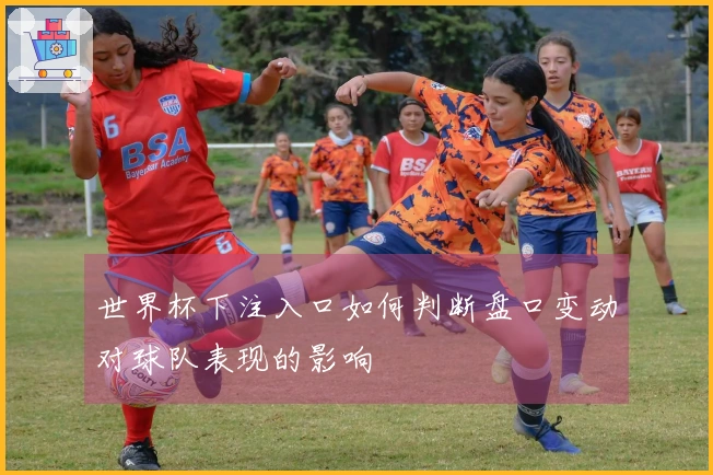 世界杯下注入口如何判断盘口变动对球队表现的影响