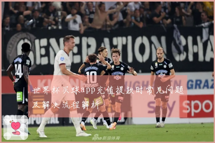 世界杯买球app充值提款时常见问题及解决流程解析
