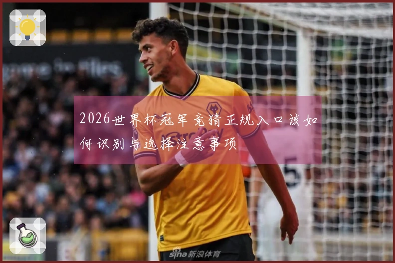 2026世界杯冠军竞猜正规入口该如何识别与选择注意事项